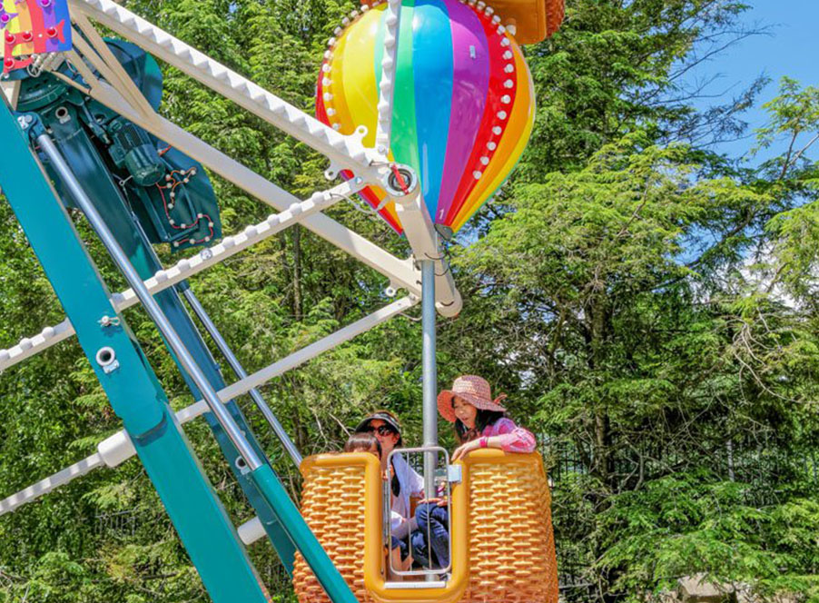Mini Ferris Wheel