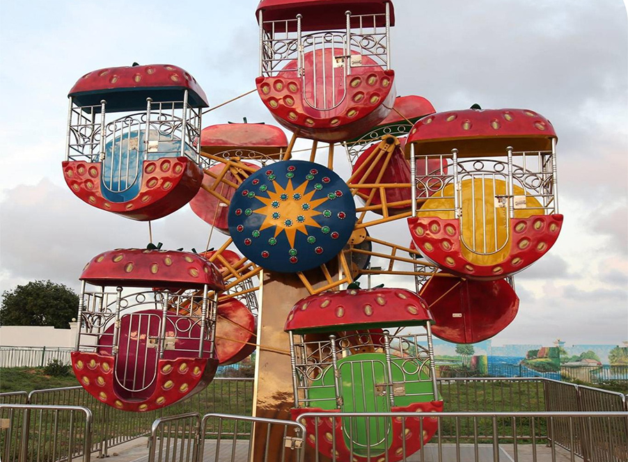 Mini Ferris Wheel