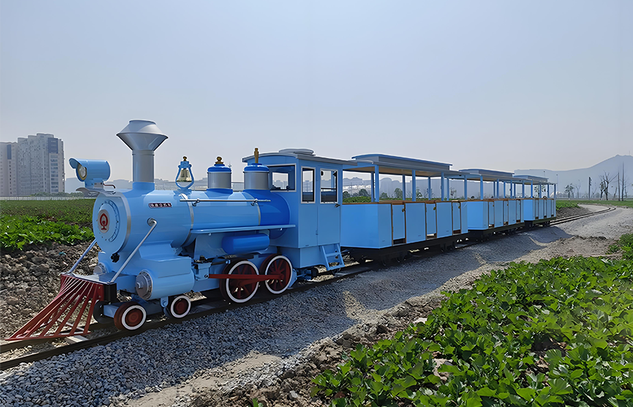 Mini Track Train for Sale Around the World