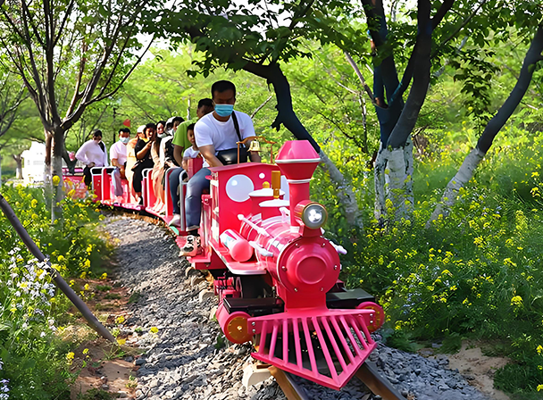 Mini Track Train